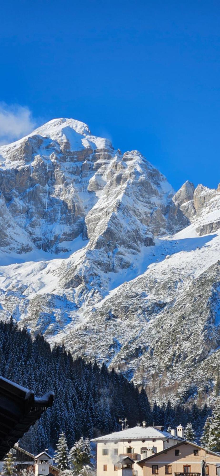 Romantic Chalet Dolomiti Val di Zoldo Dış mekan fotoğraf